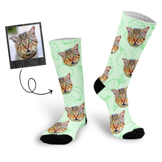 LEMMIKLOOMA PILDIGA SOKID